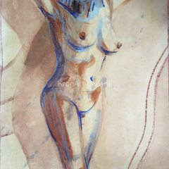 Nr. 498