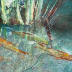 Koi